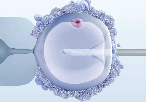 最好的代孕机构,生二胎做兰州助孕试管婴儿成功率高吗