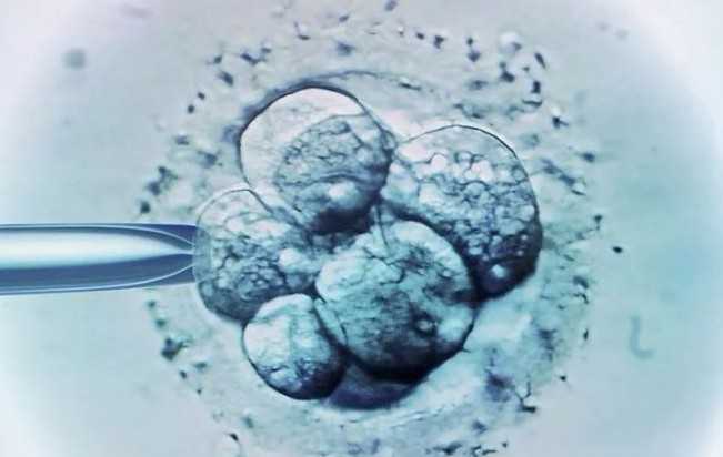 2026内蒙古人民医院试管婴儿医生名单(内蒙古人民医院试管哪个医生好)