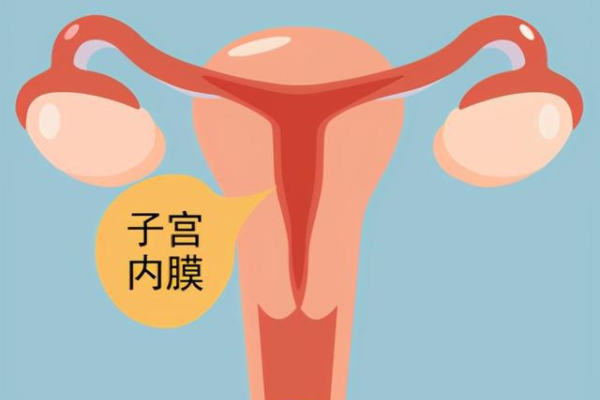 供卵自怀是自己的孩子吗&代孕哪家医院最哈,子宫内膜的多样人生