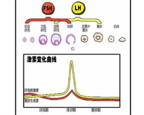 供卵试管包成功的医院&供卵生子,备孕同房后躺了2小时还是流出来了，会影响备