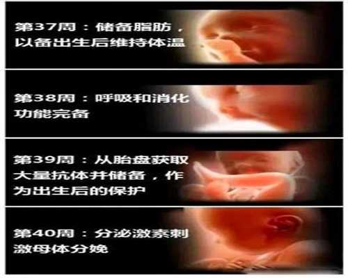 广州专业助孕公司_广州代孕试管婴儿医院_人工助孕过程会痛吗：全面开放二胎