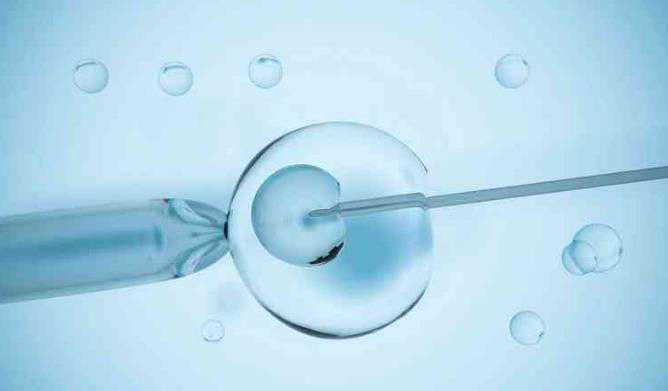 哪有代生孩子_2023梅州染色体异常做试管婴儿成功率？梅州三代试管助孕指南
